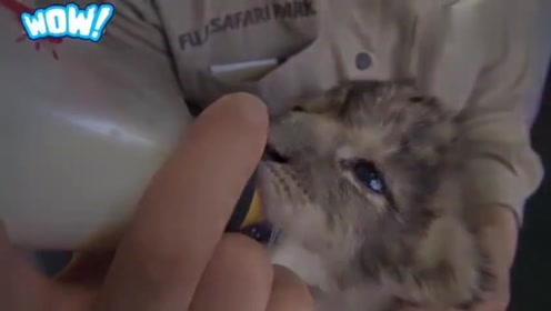 昨夜笙歌容易散，酒醒添得愁无限-昨夜笙歌容易散,酒醒添得愁无限