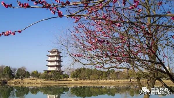 行下春风望夏雨，燕子双飞蝶儿舞