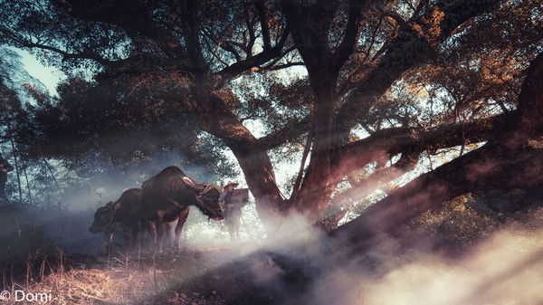 第一章，山间的初遇-山瓶乳酒下青云