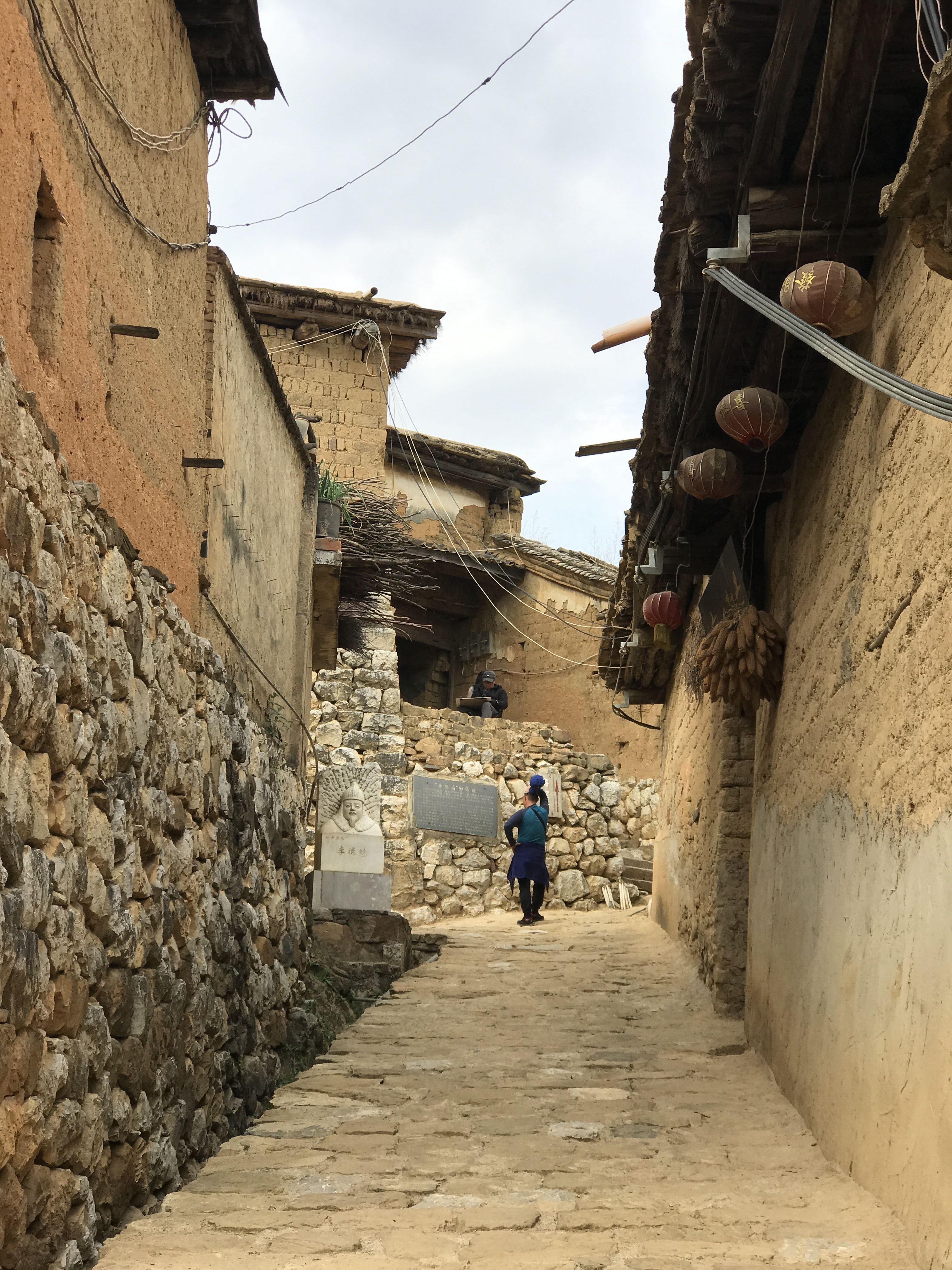 第一章，意外的收获-守株待获成笑谈