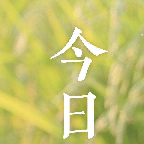 在遥远的华夏大地上，流传着无数神秘而古老的图腾，它们不仅是历史的见证，更是民族精神的象征。今天，我要讲述的，就是一段关于华夏图腾的传奇故事。华夏图腾传千古