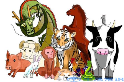 十二生肖排第四，特数要开就问蛇-十二生肖排第四 特数要开就问蛇