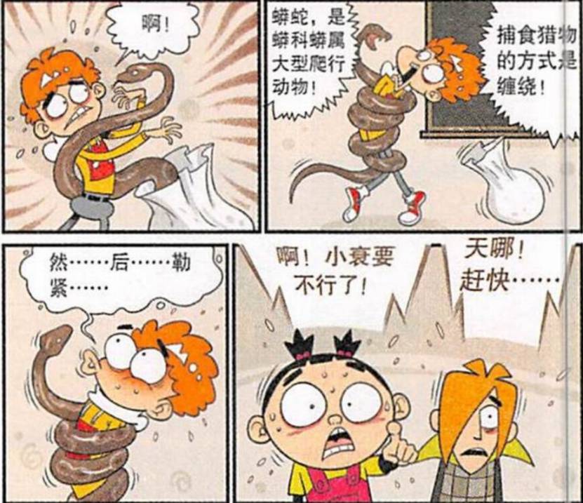 金屋藏娇定富贵，不是蛇头哭衰衰-金屋藏娇定富贵，不是蛇头哭衰衰