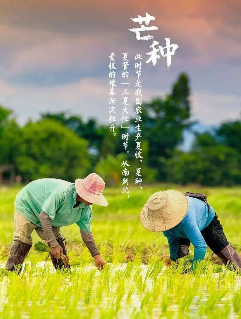 一份耕耘一分收获谁能头白劳心力-一份耕耘一分收获谁能头白劳心力