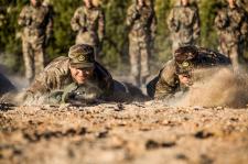 老骥伏枥志千里，血点沙场腹内饿-老骥伏枥志千里，血点沙场腹内饿