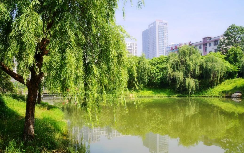 猜南猜北不能中