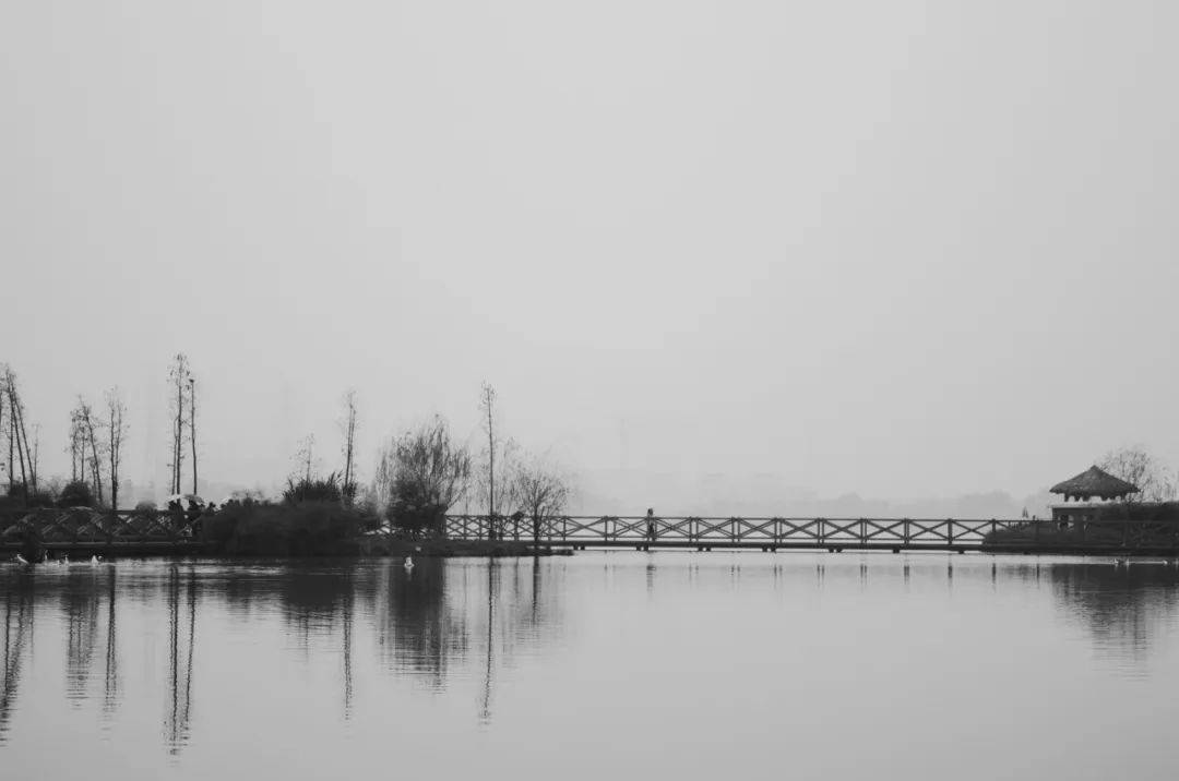 缚虎手，悬河口，车如鸡栖马如狗