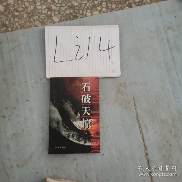 在古老的华夏大地上，流传着无数令人惊叹的传奇故事。今天，我要讲述的，是一个关于勇气、智慧与命运的故事—二三石破七天惊。二三石破七天惊