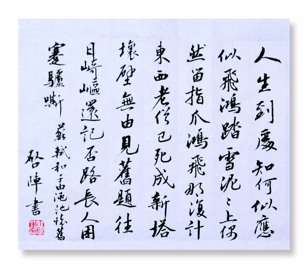 今朝龙牛猪出特，塞鸿遇暖犹回翅-今朝龙牛猪出特，塞鸿遇暖犹回翅