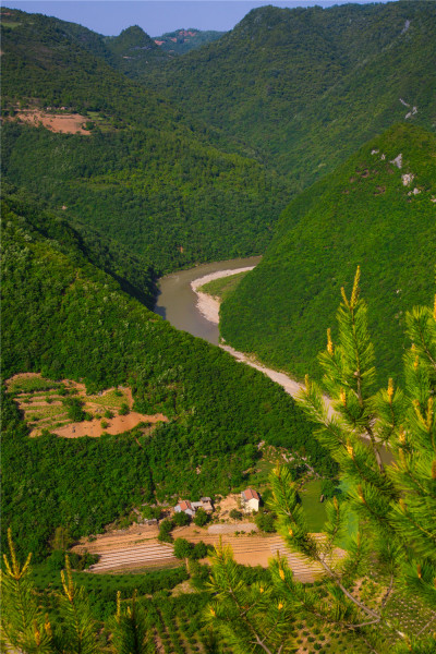 终南山翠色欲流，肆弦壹声如裂帛-终南山翠色欲流,肆弦壹声如裂帛