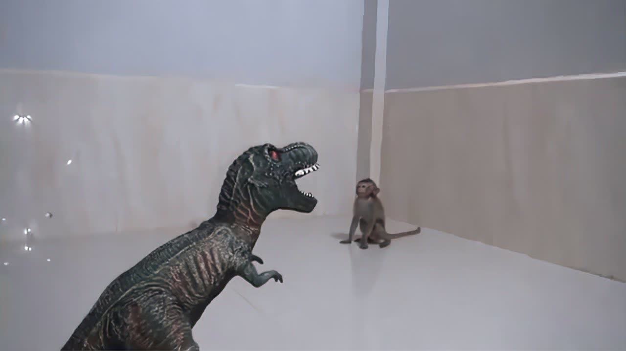 在古老的华夏大地上，流传着一段关于马、猴与龙的传奇故事。这段故事不仅充满了奇幻色彩，更蕴含了深厚的哲理与智慧。马前猴后龙吼叫