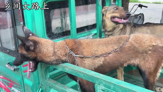 缚虎手，悬河口，车如鸡栖马如狗