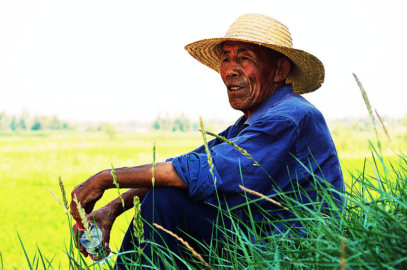 农夫怀中暖复苏