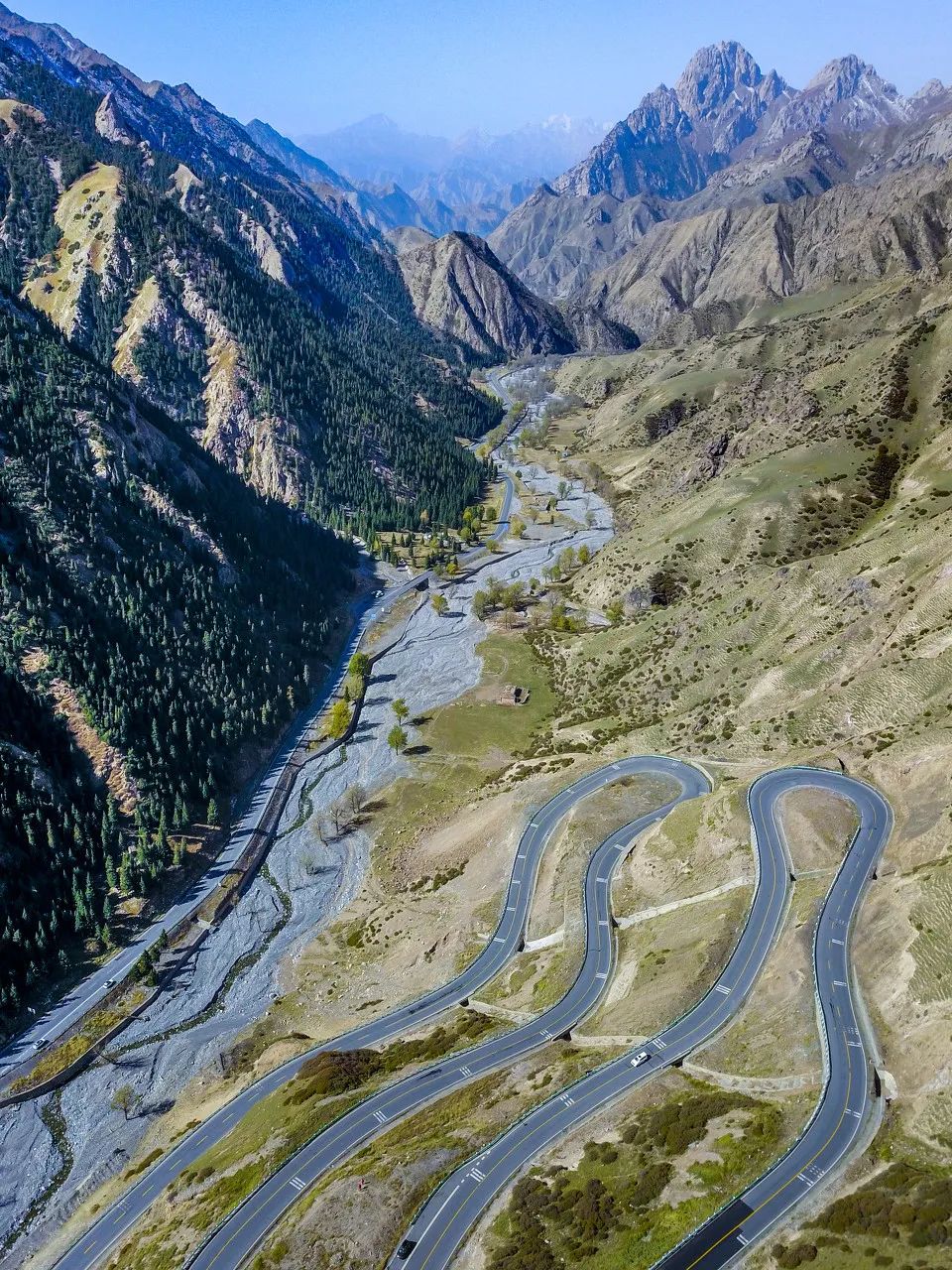 在古老的江南水乡，有一条名为自在巷的小巷，它蜿蜒曲折，石板路两旁是历经风霜的木门和斑驳的墙壁。这里住着一位名叫林飞扬的年轻人，他是一位才华横溢的琴师，以演奏古琴而闻名。来去自如声飞扬