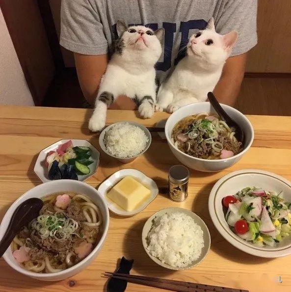 三餐只图多享受，身肥肉腻惹杀机