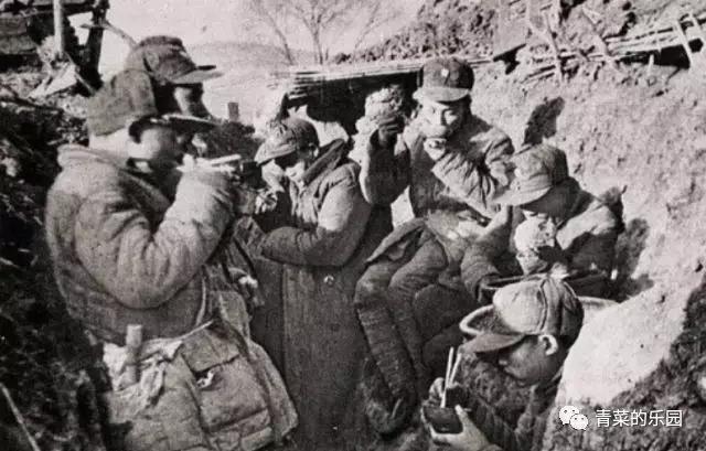 身古好汉阵中亡猎犬自是山上丧-身古好汉阵中亡猎犬自是山上丧