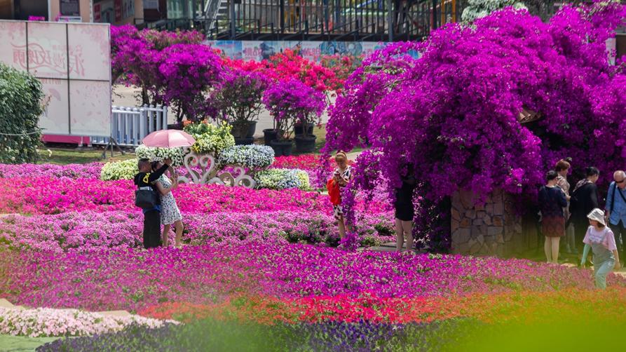 在他的身后，一群小鸟欢快地鸣叫着，仿佛在为他加油鼓劲。一只蝴蝶轻轻落在他的肩头，他停下手中的活计，轻轻地将它放飞。看着蝴蝶在空中翩翩起舞，他心中涌起一股暖流。他知道，这一切都是大自然对他的馈赠和信任。农夫怀中暖复苏