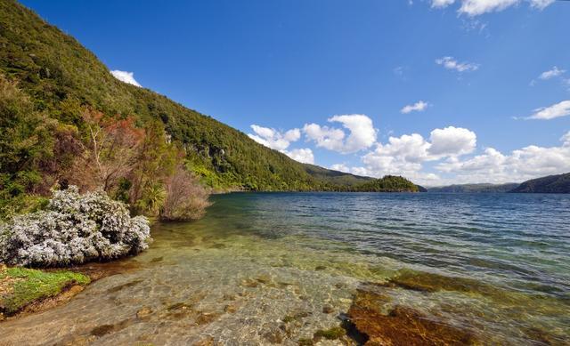 缚虎手，悬河口，车如鸡栖马如狗