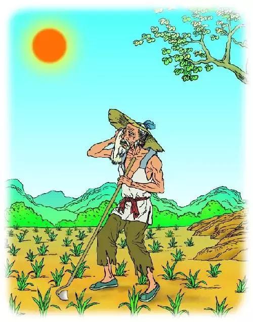 一份耕耘一分收获谁能头白劳心力-一份耕耘一分收获谁能头白劳心力