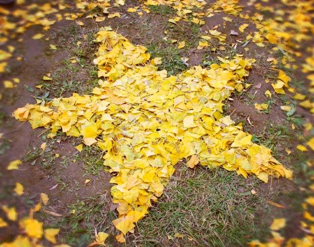 秋风轻拂，落叶纷飞，小镇的街道上弥漫着淡淡的桂花香。期中考试结束后的那个傍晚，林夕二独自走在回家的路上，心中五味杂陈。这次考试，她并没有取得理想的成绩，尤其是数学，那鲜红的分数仿佛在嘲笑她的无能。期中夕二起相思