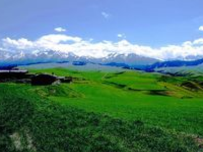 终南山翠色欲流,肆弦壹声如裂帛