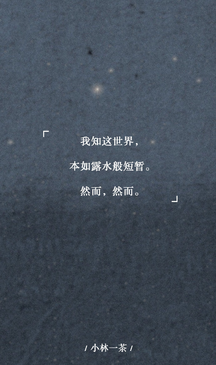 在浩瀚的宇宙中，每一个生命都是独一无二的奇迹，而人类，更是这奇迹中的佼佼者。然而，在这璀璨的生命之树上，总有一些花朵因命运的捉弄而显得尤为不幸。今天，我要讲述的，便是那些寶屬不幸的人们的故事。寶屬不幸