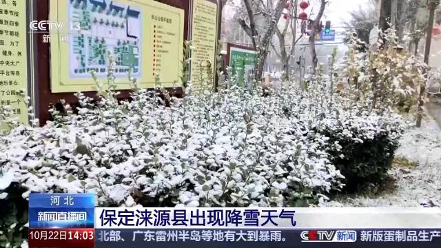 那是一个三九严寒的冬日，雪花如鹅毛般飘落，小镇上的人们都躲进了温暖的家中。然而，在天涯共此時茶馆里，却来了一位不速之客。他名叫苏墨，是一位游历四方的书生。他穿着单薄，却面带坚毅，踏着积雪走进了茶馆。三九天涯共此時