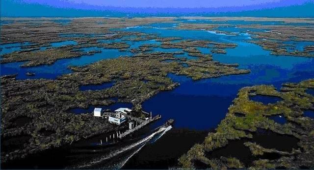 缚虎手，悬河口，车如鸡栖马如狗