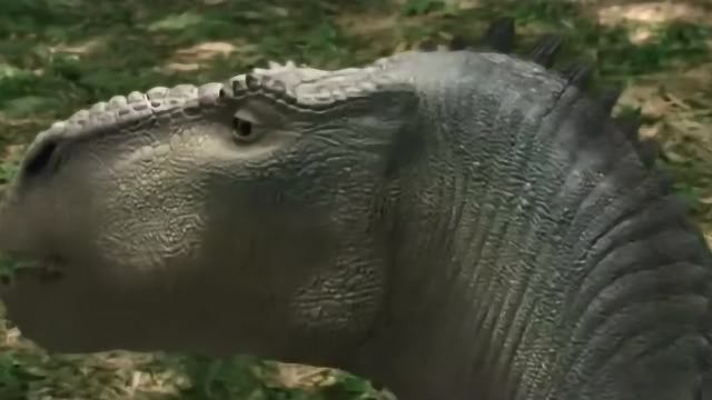 在古老的华夏大地上，流传着一段关于马、猴与龙的传奇故事。这段故事不仅充满了奇幻色彩，更蕴含了深厚的哲理与智慧。马前猴后龙吼叫