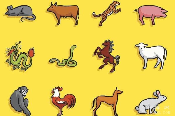 十二生肖排第四，特数要开就问蛇-十二生肖排第四 特数要开就问蛇