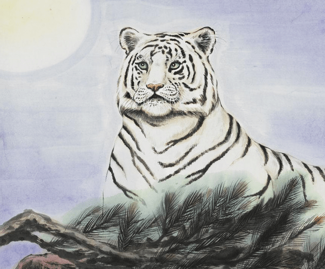 今期生肖太沉泥，鼾声如雷无尽期