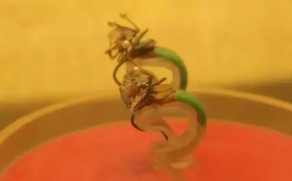 红珠绿珠左右晃，二九越来越吉祥