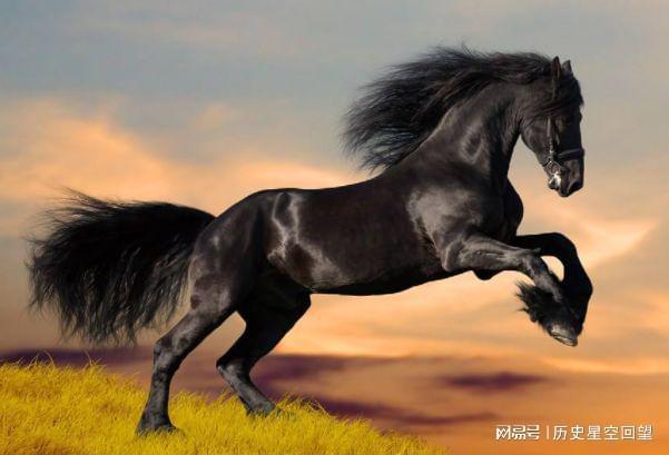 在古老的华夏大地上，流传着一段关于马、猴与龙的传奇故事。这段故事不仅充满了奇幻色彩，更蕴含了深厚的哲理与智慧。马前猴后龙吼叫