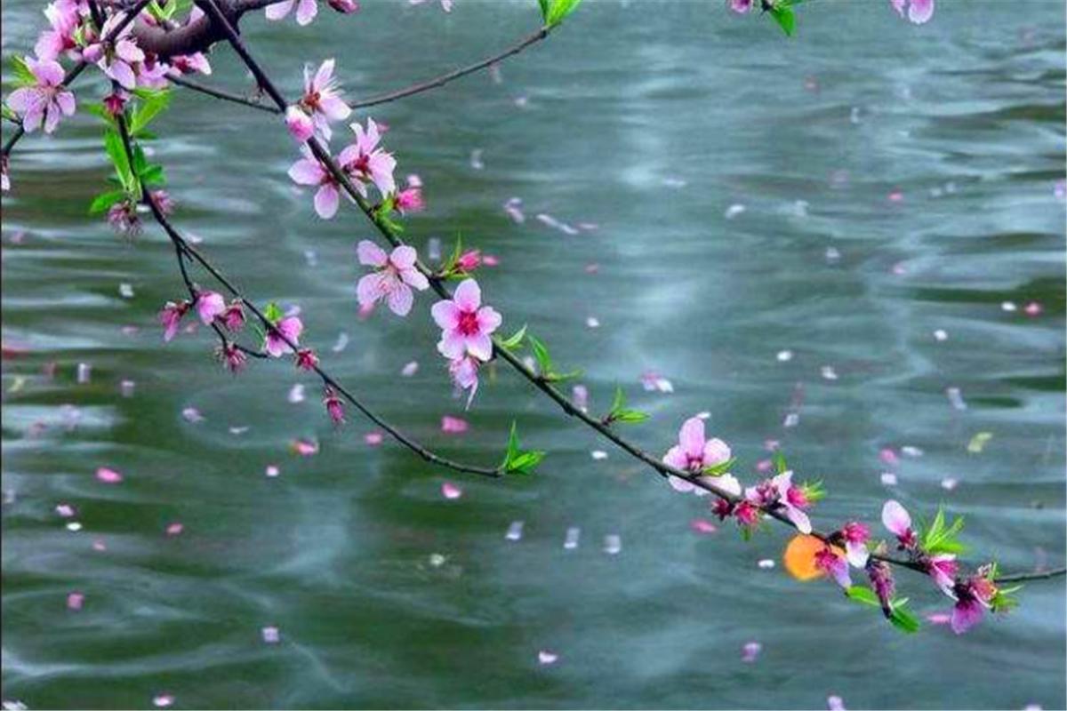 昨夜笙歌容易散，酒醒添得愁无限-昨夜笙歌容易散,酒醒添得愁无限