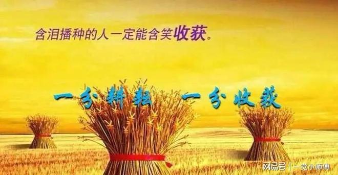 一份耕耘一分收获谁能头白劳心力-一份耕耘一分收获谁能头白劳心力