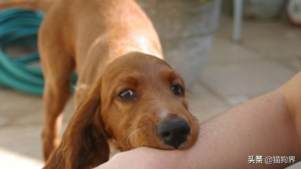 二三石破七天惊