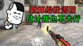 老骥伏枥志千里，血点沙场腹内饿