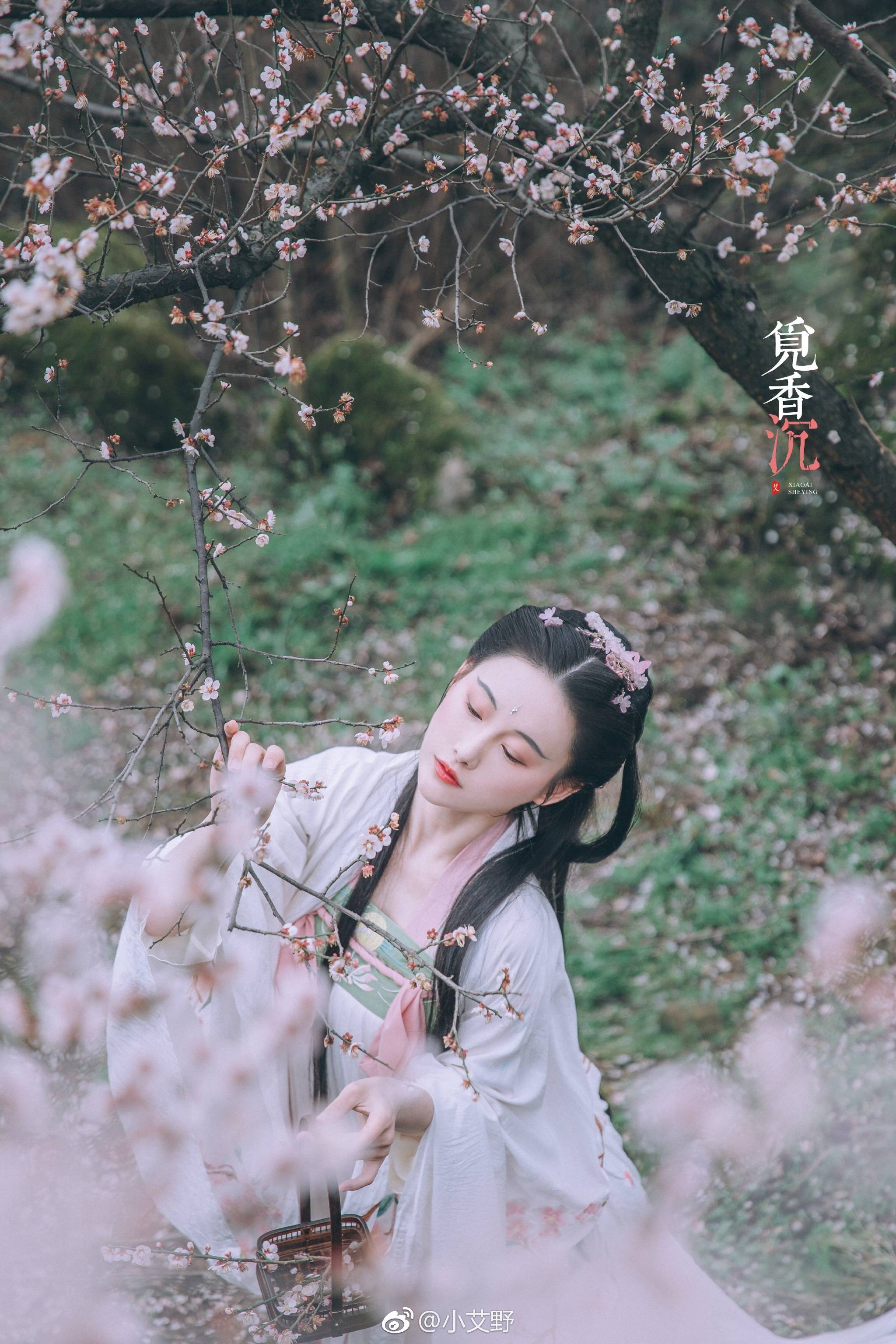 双成倚槛春心醉，纵有雪霜那可侮