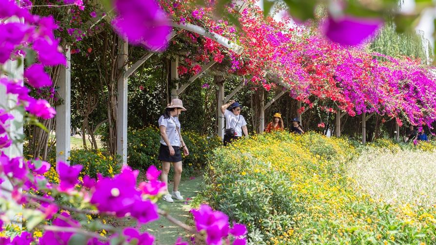 在他的身后，一群小鸟欢快地鸣叫着，仿佛在为他加油鼓劲。一只蝴蝶轻轻落在他的肩头，他停下手中的活计，轻轻地将它放飞。看着蝴蝶在空中翩翩起舞，他心中涌起一股暖流。他知道，这一切都是大自然对他的馈赠和信任。农夫怀中暖复苏