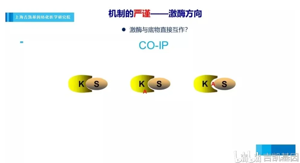 二、考试前的焦虑与期待-期中夕二起相思