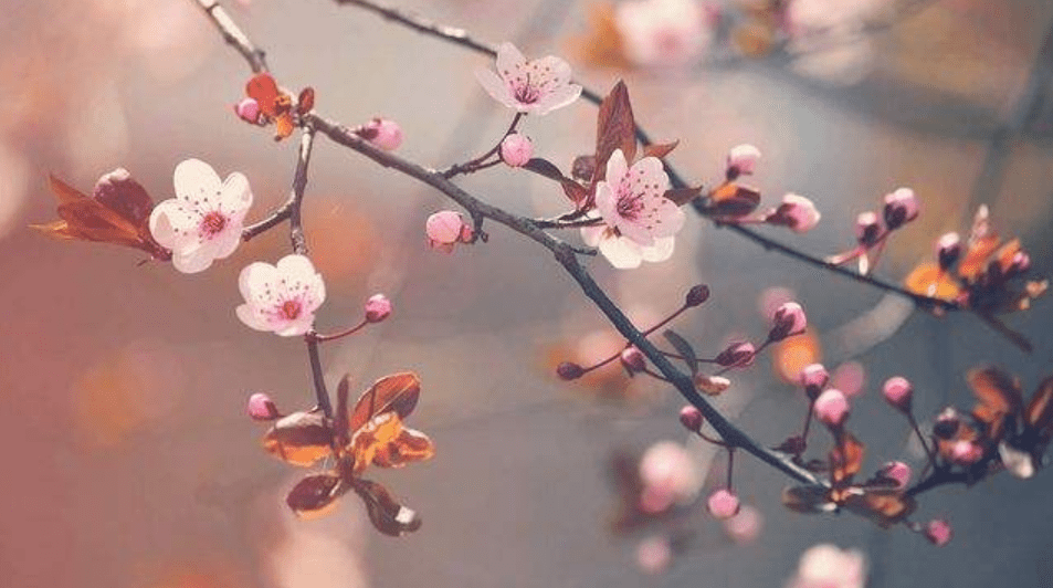 九位开启为可贵，一个二字吉当头-九位开启为可贵，一个二字吉当头