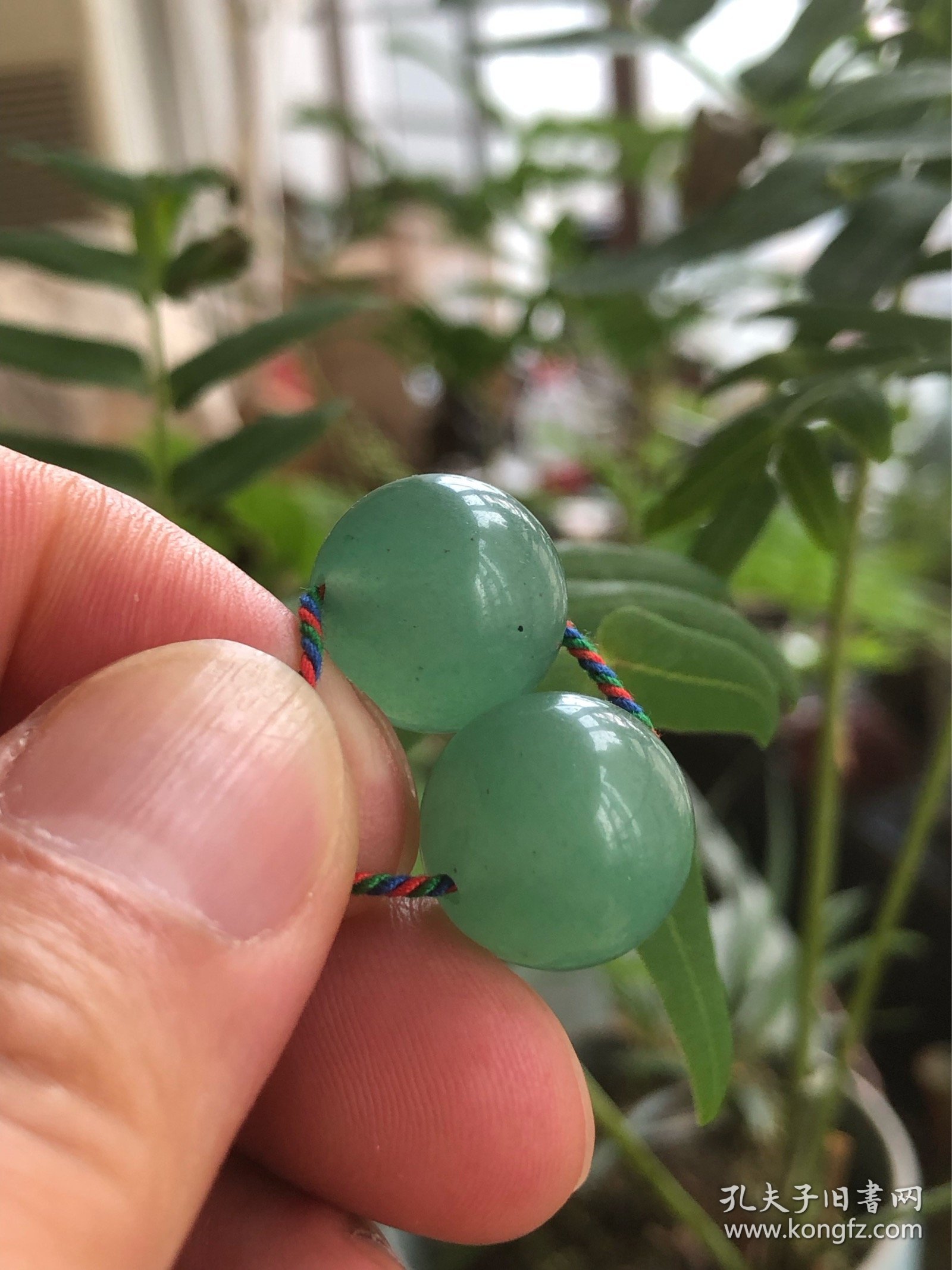 红珠绿珠左右晃，二九越来越吉祥-红珠绿珠左右晃，二九越来越吉祥