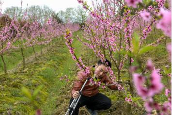 农夫怀中暖复苏