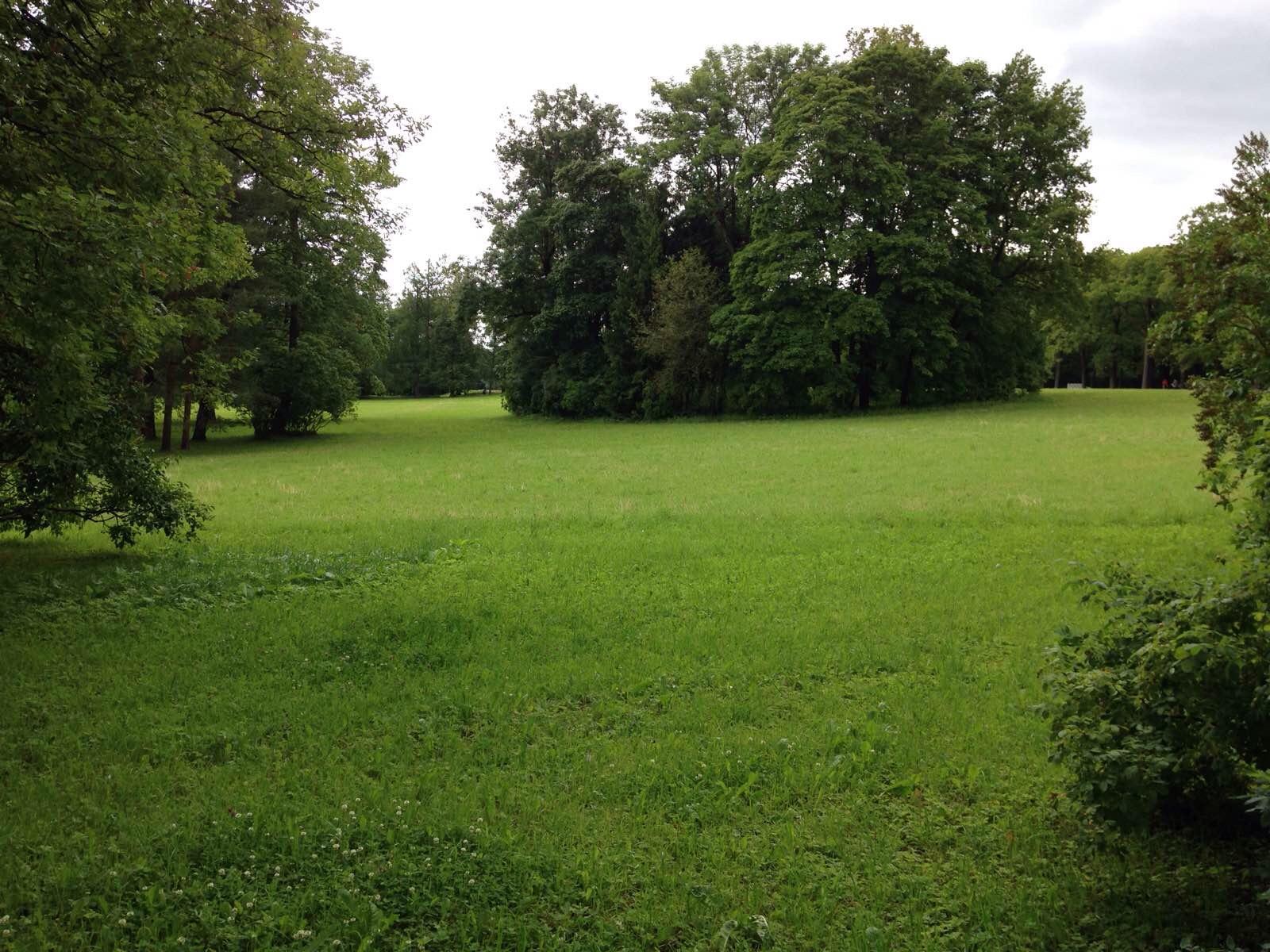 在群山环抱之中，有一片宁静的湖泊，湖水清澈见底，波光粼粼，仿佛一面巨大的镜子，映照出天空的变幻。湖边，一片翠绿的草地，是羊儿们嬉戏的天堂。这里，是羊规约的世界。湖水清波羊规约
