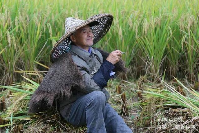 农夫怀中暖复苏