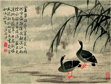 今朝龙牛猪出特，塞鸿遇暖犹回翅-今朝龙牛猪出特，塞鸿遇暖犹回翅