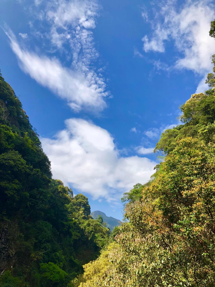 在古老的华夏大地上，有一片被世人遗忘的秘境—青云山。山中藏着一个古老的村落，名为乳酒村，这里的人们世代以酿造一种独特的乳酒为生，而其中最负盛名的，便是山瓶乳酒。山瓶乳酒下青云